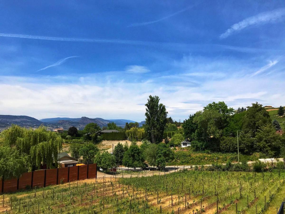 Wesbert Winery & Guest Maison d'hôtes